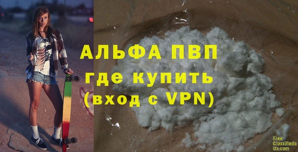 прущие грибы Осташков
