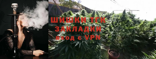 прущие грибы Осташков
