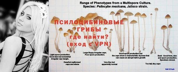 прущая мука Пестово